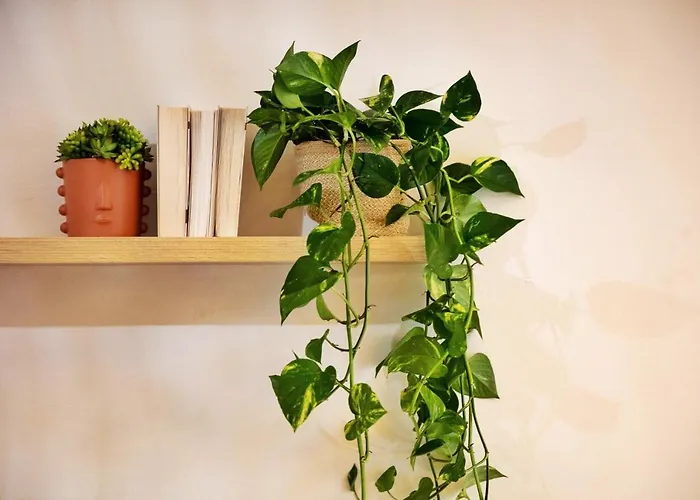 La Vie En Ρέθυμνο